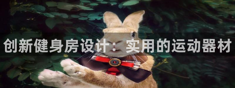 yy易游体育官方正版app五金厂:创新健身房设计:实用的运动