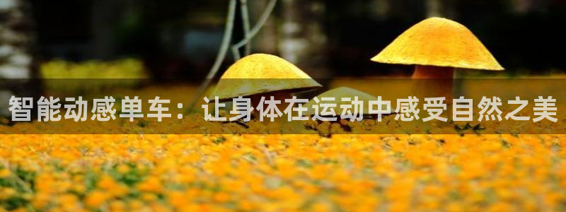 yy易游体育官网下载平台注册要钱吗是真的吗:智能动感单车:让